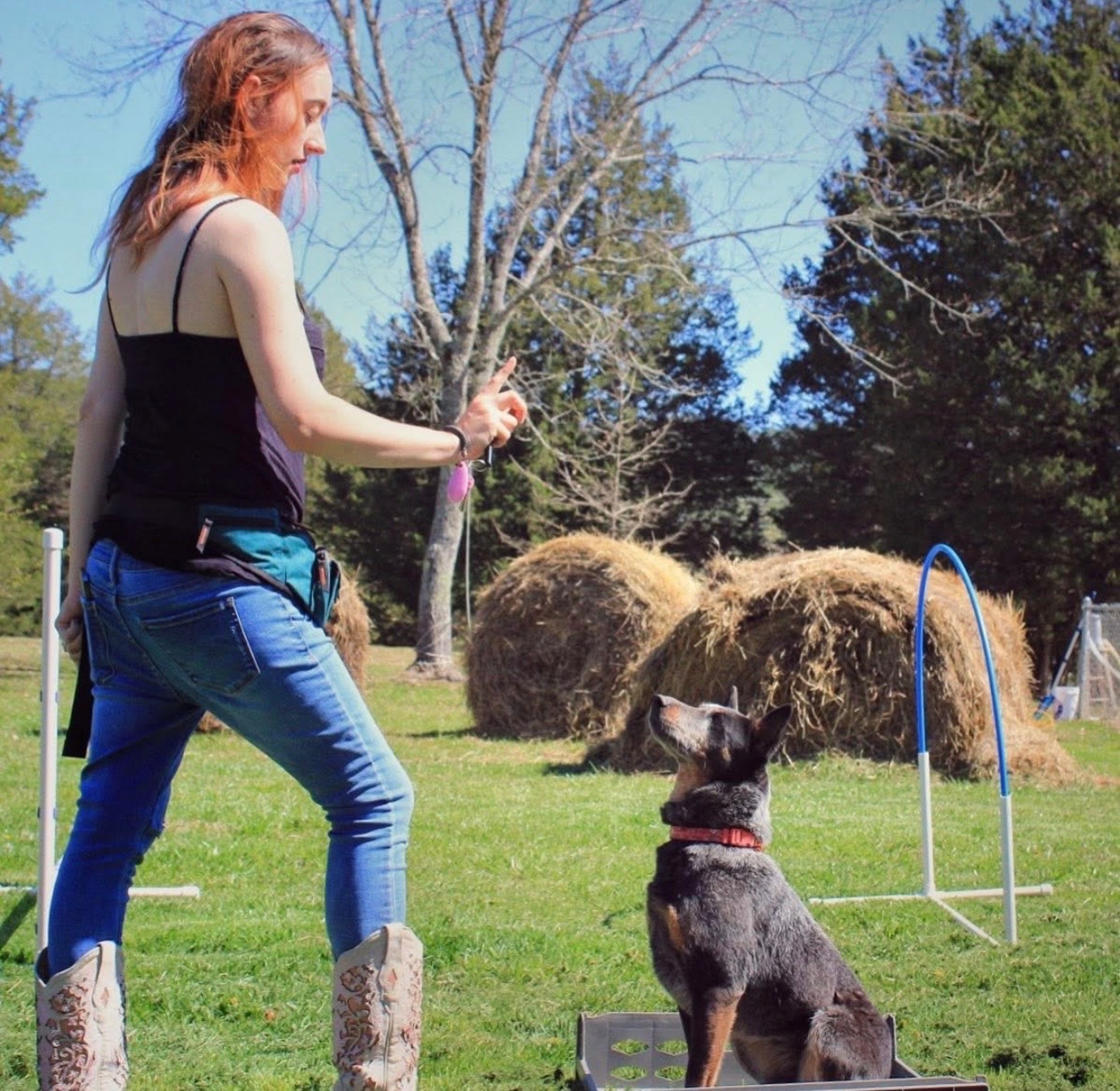 Small group obedience class working with dogs calmly spaced across a sunny pasture field.