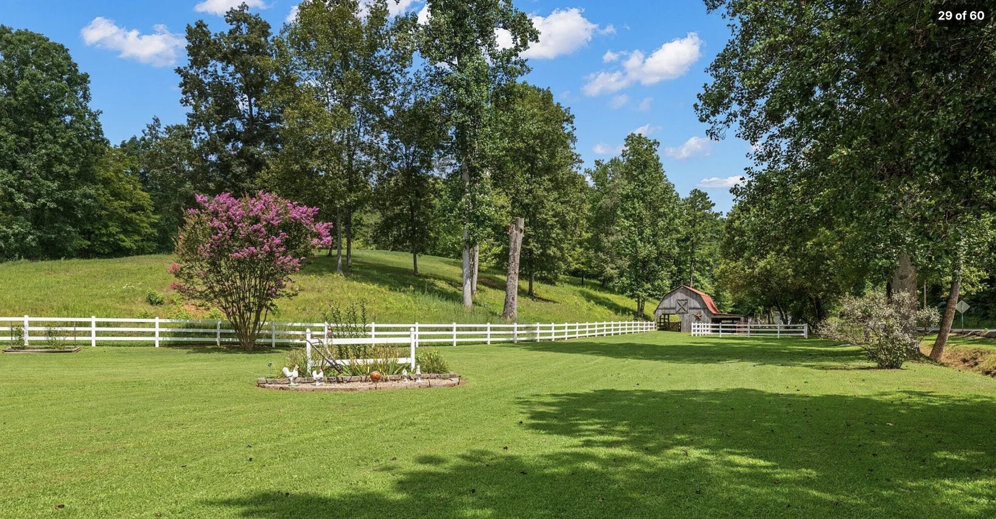 Spacious pastoral farm boarding runs and canine grooming facility